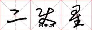 朱锡荣二使星草书怎么写