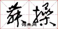 刘少英舞操草书怎么写