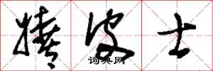 刘少英嬉皮士草书怎么写