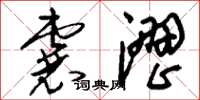刘少英囊涩草书怎么写