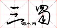 朱锡荣三蜀草书怎么写