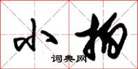朱锡荣小拍草书怎么写