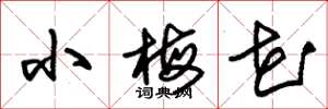 朱锡荣小梅花草书怎么写