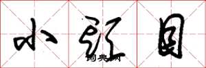 朱锡荣小头目草书怎么写