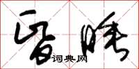 朱锡荣昏睡草书怎么写