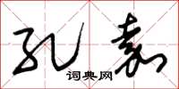 朱锡荣孔嘉草书怎么写