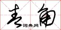 朱锡荣青角草书怎么写