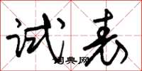 朱锡荣试表草书怎么写