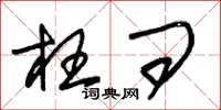 朱锡荣枉问草书怎么写
