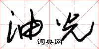 朱锡荣油光草书怎么写