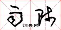 朱锡荣雨师草书怎么写