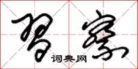 朱锡荣习察草书怎么写