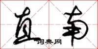 朱锡荣直南草书怎么写