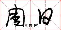 朱锡荣周日草书怎么写
