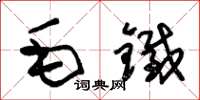 朱锡荣毛铁草书怎么写