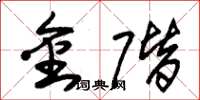朱锡荣金阶草书怎么写
