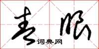 朱锡荣青眼草书怎么写