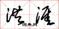 朱锡荣洪涯草书怎么写