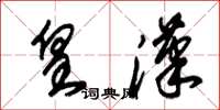 朱锡荣皇汉草书怎么写