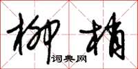 朱锡荣柳梢草书怎么写