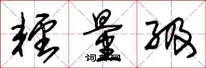 朱锡荣轻量级草书怎么写