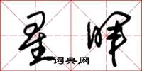 朱锡荣星晖草书怎么写