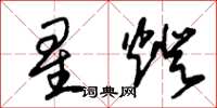 朱锡荣星灯草书怎么写