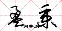 朱锡荣盈秉草书怎么写
