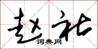 朱锡荣赵社草书怎么写