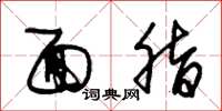 朱锡荣面脂草书怎么写