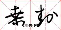 朱锡荣桑封草书怎么写