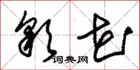 朱锡荣彩花草书怎么写