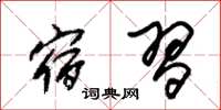 朱锡荣宿习草书怎么写