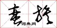 朱锡荣蛮族草书怎么写