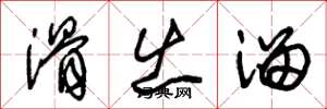 朱锡荣滑出溜草书怎么写
