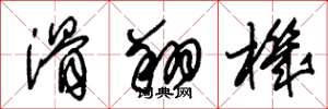 朱锡荣滑翔机草书怎么写