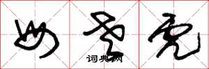朱锡荣母老虎草书怎么写