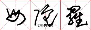 朱锡荣母陀罗草书怎么写