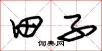 朱锡荣田子草书怎么写