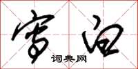 朱锡荣写白草书怎么写
