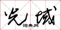 朱锡荣光域草书怎么写