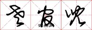 朱锡荣老官儿草书怎么写