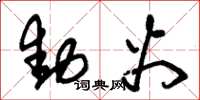 朱锡荣动火草书怎么写