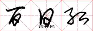 朱锡荣百日红草书怎么写