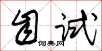 朱锡荣自试草书怎么写