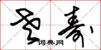 朱锡荣老寿草书怎么写