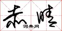 朱锡荣赤晴草书怎么写