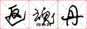 朱锡荣返魂丹草书怎么写
