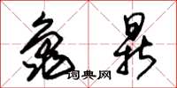 朱锡荣龟鼎草书怎么写