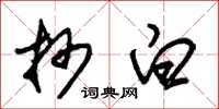 朱锡荣抄白草书怎么写